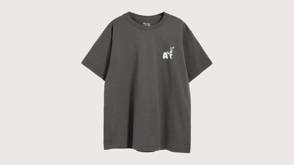Combed cotton t shirt: Alpacco 260gsm oversized graphic tee in Charcoal, front with small alpaca logo